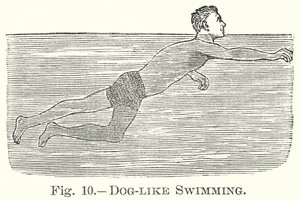 Hundartiges Schwimmen (Gravur) von English School