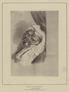 Hunde der Corporation von English School