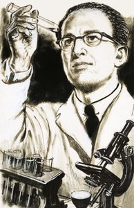 Dr. Jonas Salk, Erfinder des Polio-Impfstoffs, betrachtet ein Reagenzglas von English School
