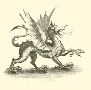 Drache von English School