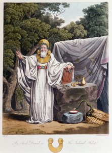 Druide - in "Kelten und Goten, Bräuche der Bewohner der Britischen Inseln des frühen 6. Jahrhunderts und der Gotenstämme der Westküste der Ostsee", von S.R. Meyrick und Ch. Smith