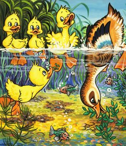 Ente und Entenküken