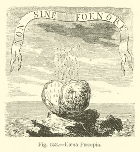 Elena Piscopia von English School