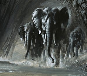 Elefanten