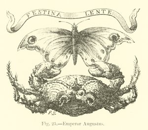 Kaiser Augustus von English School