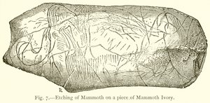 Radierung eines Mammuts auf einem Stück Mammut-Elfenbein von English School