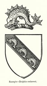 Beispiel, Delphin gebogen (Gravur) von English School