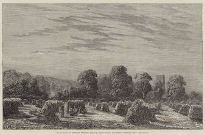 Ausstellung moderner britischer Kunst, ein Kornfeld, Abend von English School