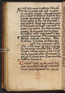 Auszüge aus Henry of Huntingdons Historia Anglorum, Cotton MS Titus D XXIV, f.132v