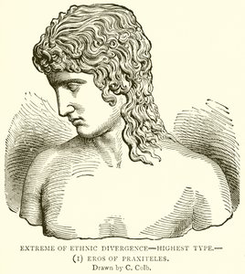 Extrem der ethnischen Divergenz—höchster Typus.—(1) Eros von Praxiteles von English School