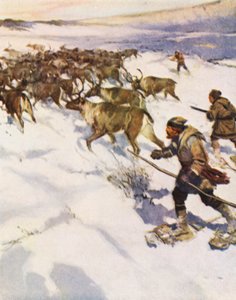 Faktor John McLean treibt eine Herde Karibus in Labrador für die Hudson