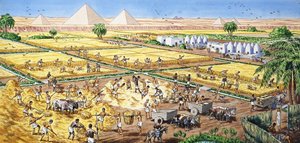Landwirtschaft in Ägypten