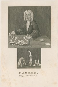 Fawkes der Zauberer von English School