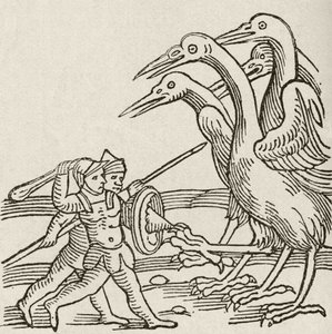 Kampf zwischen Pygmäen und Kranichen. Eine Geschichte aus der griechischen Mythologie. Aus The Strand Magazine, veröffentlicht 1897.