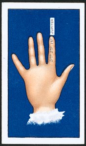Erster Finger