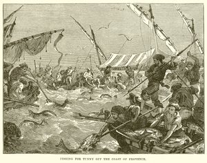 Thunfischfang vor der Küste der Provence von English School