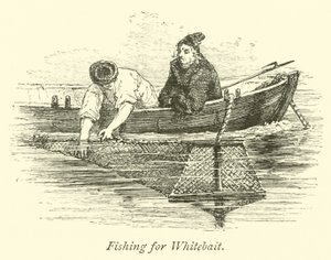 Fischen nach Weißfisch von English School