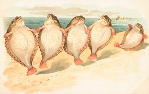 Fünf Plattfische tanzen am Strand von English School