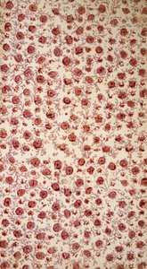 Florales Vorsatzpapier (handkolorierte Gravur) von English School