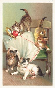 Vier Katzen spielen mit einem Wollknäuel von English School