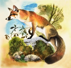 Fuchs von English School