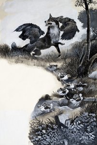 Fuchs unter Angriff