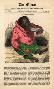 Titelseite des The Mirror vom 13. Januar 1838 zur Feier der Ankunft eines Orang-Utans in den Gärten der Zoologischen Gesellschaft im Regent
