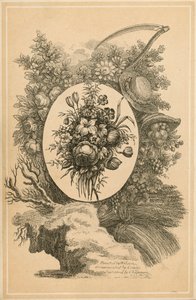 Frontispiz für The New Family Herbal von Matthew Robinson von English School
