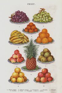 Früchte (Chromolithografie) von English School