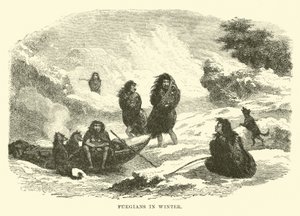 Feuerländer im Winter von English School