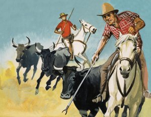 Gardians der Camargue von English School