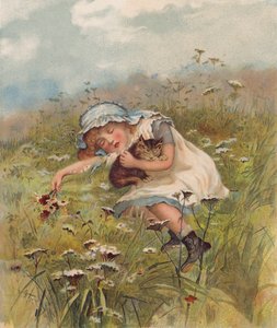 Mädchen und eine Katze schlafen auf einem Feld von English School