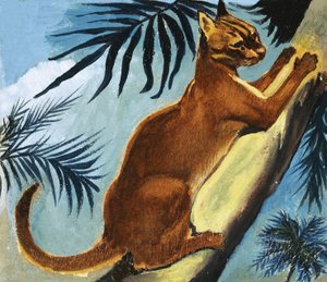 Goldene Katze