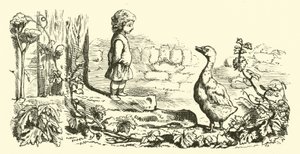 Gänschen, Gänschen Gänserich von English School