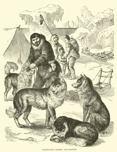 Grönländischer Eskimo-Hundeschlitten von English School