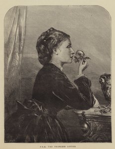 Ihre Königliche Hoheit Prinzessin Louise (Gravur)