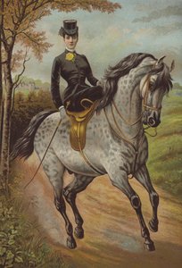 Ihre Königliche Hoheit die Prinzessin von Wales