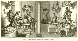 Halle der Tiere (Museo Pio-Clementino) von English School
