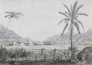 Halse Hall, Jamaika, um 1780 von English School