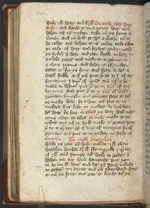 Medizinische und kulinarische Rezepte, ca. 1395 von English School