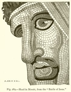 Kopf in Mosaik, aus der Schlacht bei Issus von English School