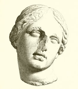 Kopf der Aphrodite von English School