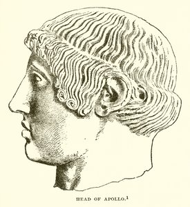 Kopf des Apollo von English School