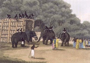 Hindoo Elefantenfalle, veröffentlicht von Edward Orme