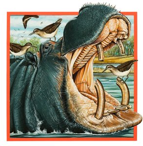Nilpferd