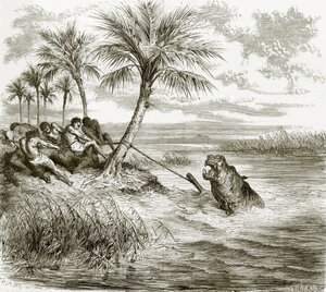 Hippopotamus harpuniert von English School