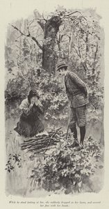 Seine gute Fee, von Mary Elizabeth Braddon (Lithografie) von English School