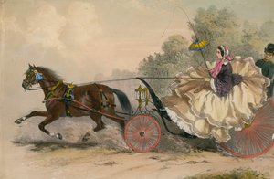 Pferd und Kutsche in voller Fahrt mit einer Dame an der Peitsche; Prostitution von English School
