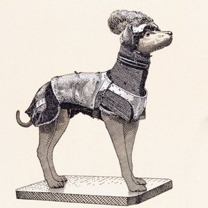 Hund in Körperpanzerung