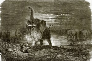 Jäger und Elefant von English School